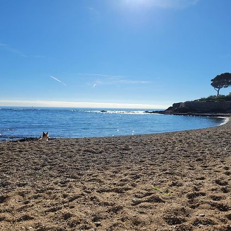 Appartement La Tranquillite, 2Mn A Pieds Mer Fréjus Exteriér fotografie
