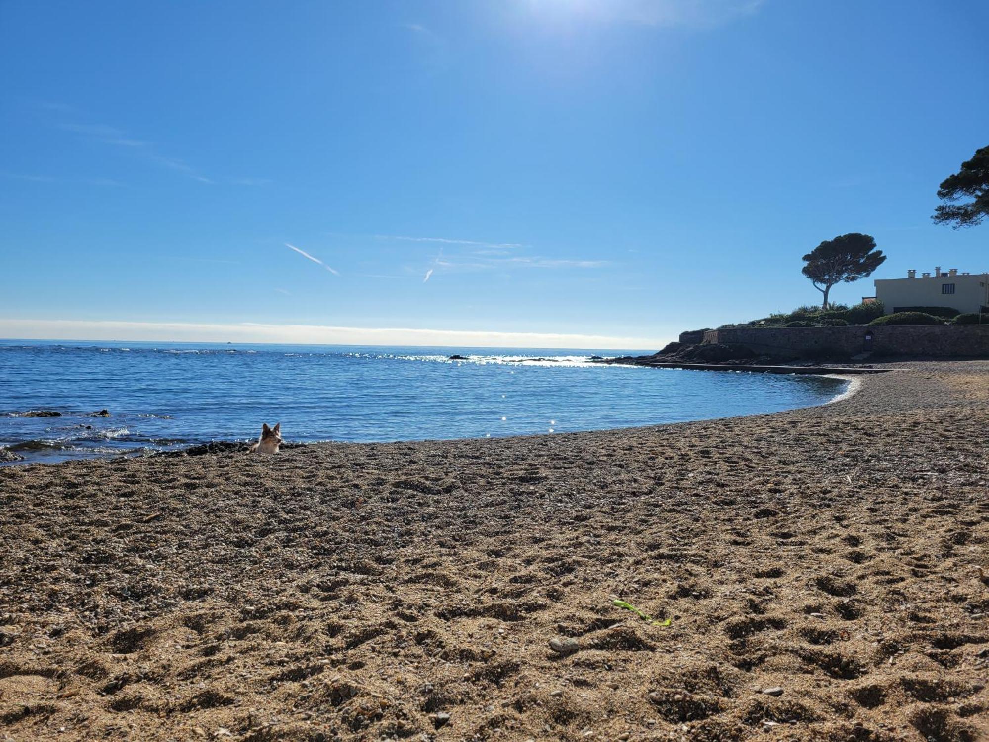 Appartement La Tranquillite, 2Mn A Pieds Mer Fréjus Exteriér fotografie